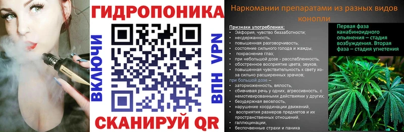 Каннабис планчик  Елабуга 
